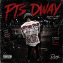dway0303
