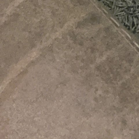 Bdaog1