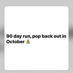 monicalreese36