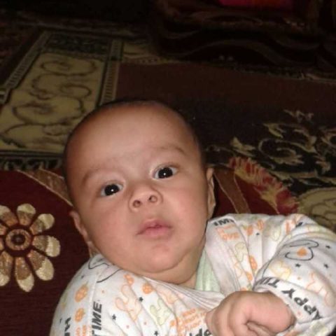 aliesaa