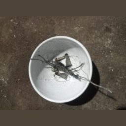 Danang