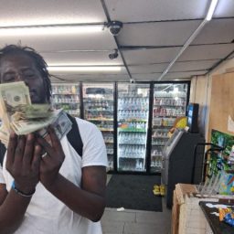 DomoGucci