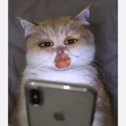 ughlii