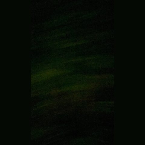 ctennnn