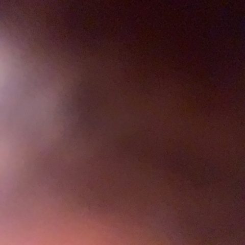 FaleceteeW1