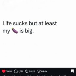 erwinbro2018