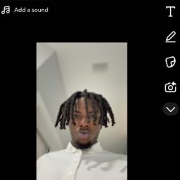 draco239