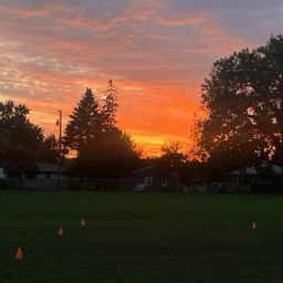 ally