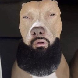 Bruh23