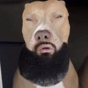Bruh23
