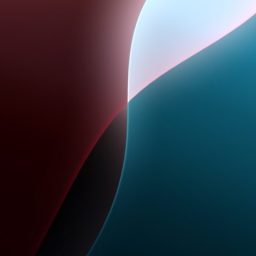 Rabbit46