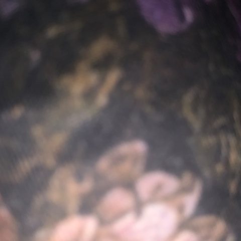 kafenlindor148