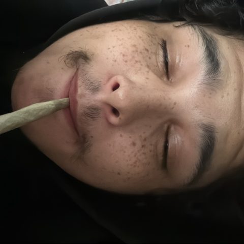 zenzero420