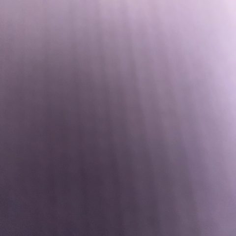shunautica