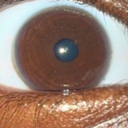 fatmama042