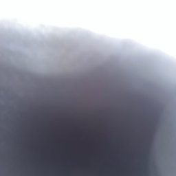 espinoza_sylvia