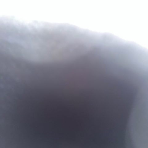 espinoza_sylvia