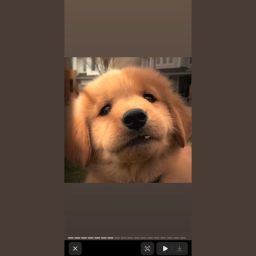 qqq