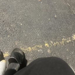 jankydude4