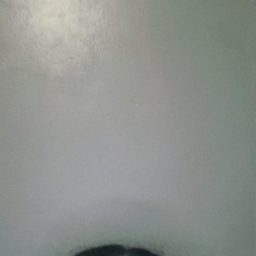 xoxozay
